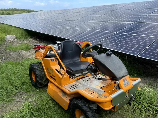 Grünpflege unter Modulen